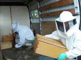 photo coins arrondis